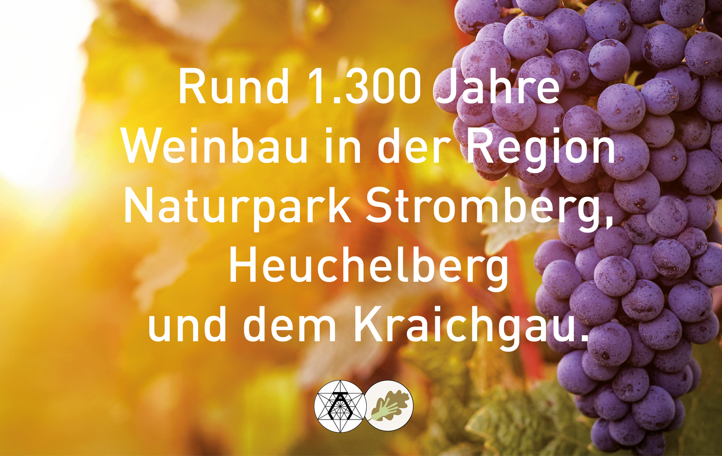 Weingartmeisterei
