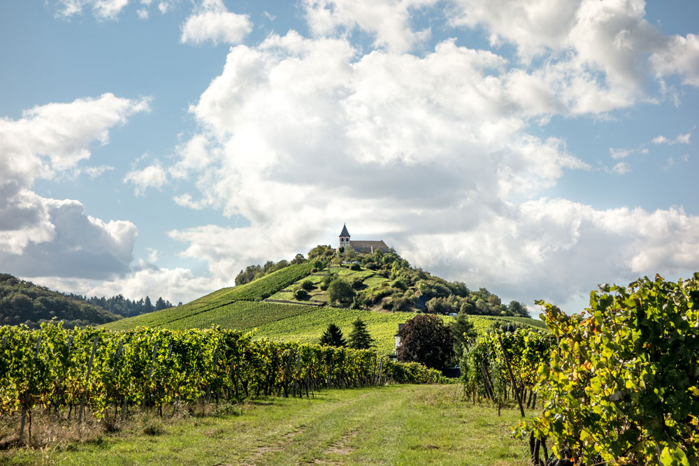 Michaelsberg2016_sept